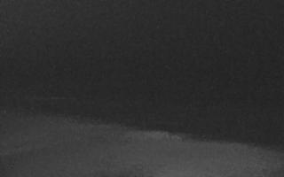 Grzybowo zachód - 17-12-2025 21:08