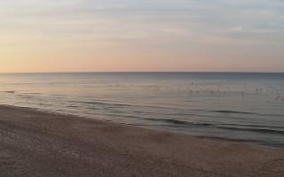 Grzybowo zachód - 18-12-2025 14:08