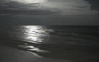 Grzybowo zachód - 31-01-2026 04:14