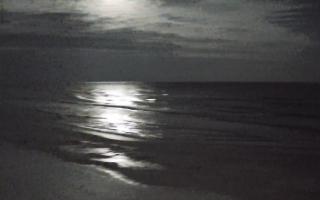 Grzybowo zachód - 31-01-2026 04:21