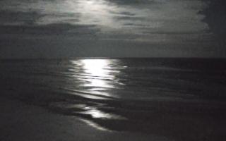 Grzybowo zachód - 31-01-2026 04:29