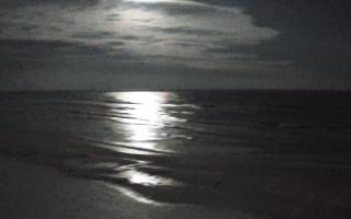 Grzybowo zachód - 31-01-2026 04:36