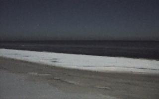 Grzybowo zachód - 01-02-2026 20:56