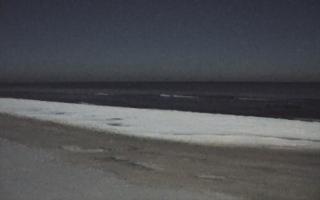 Grzybowo zachód - 01-02-2026 21:03