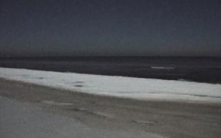 Grzybowo zachód - 01-02-2026 21:11