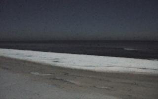 Grzybowo zachód - 01-02-2026 21:18