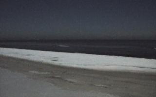 Grzybowo zachód - 01-02-2026 21:34