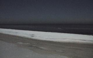 Grzybowo zachód - 01-02-2026 21:49