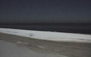 Grzybowo zachód - 01-02-2026 22:11