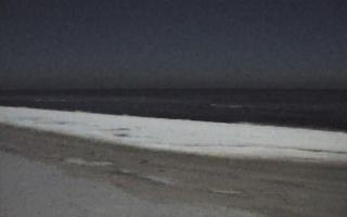 Grzybowo zachód - 01-02-2026 22:27