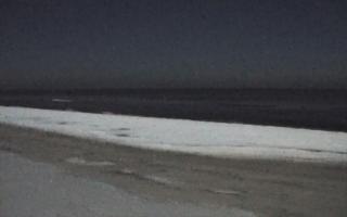 Grzybowo zachód - 01-02-2026 22:34