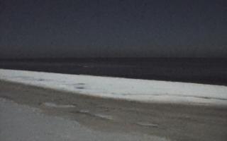 Grzybowo zachód - 01-02-2026 22:57