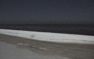 Grzybowo zachód - 01-02-2026 23:05