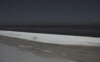 Grzybowo zachód - 01-02-2026 23:12