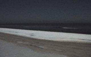 Grzybowo zachód - 01-02-2026 23:20