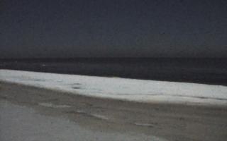 Grzybowo zachód - 01-02-2026 23:27