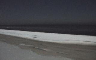 Grzybowo zachód - 01-02-2026 23:50