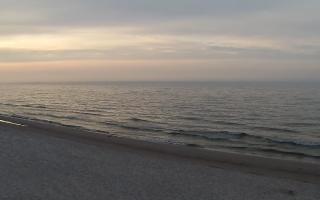 Grzybowo zachód - 15-03-2026 16:33