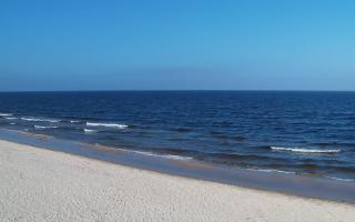 Grzybowo zachód - 17-03-2026 10:04