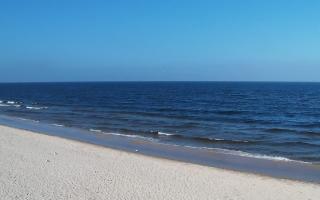 Grzybowo zachód - 17-03-2026 10:12