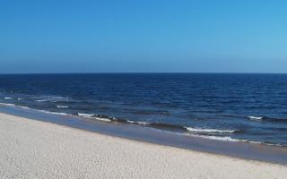 Grzybowo zachód - 17-03-2026 10:20