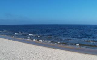 Grzybowo zachód - 17-03-2026 10:42