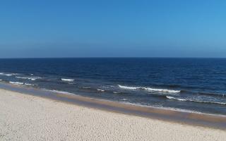 Grzybowo zachód - 17-03-2026 11:50