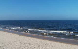 Grzybowo zachód - 17-03-2026 12:06