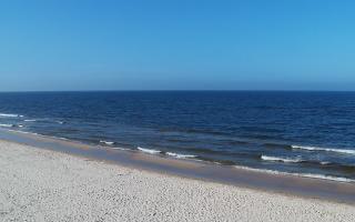 Grzybowo zachód - 17-03-2026 12:36