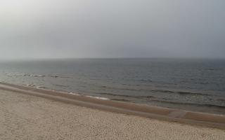 Grzybowo zachód - 17-03-2026 14:30