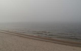 Grzybowo zachód - 17-03-2026 14:37