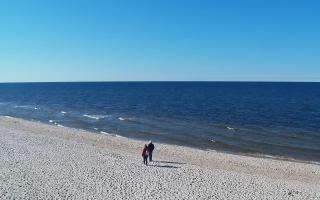 Grzybowo zachód - 21-03-2026 13:53