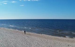 Grzybowo zachód - 21-03-2026 14:46