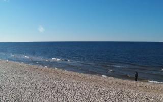 Grzybowo zachód - 21-03-2026 15:09