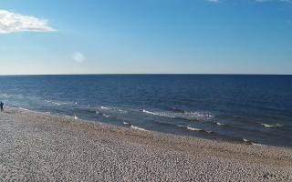 Grzybowo zachód - 21-03-2026 15:32