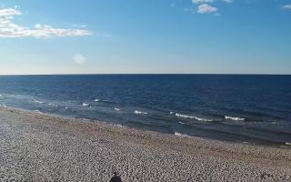 Grzybowo zachód - 21-03-2026 15:39