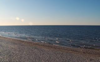 Grzybowo zachód - 21-03-2026 16:25