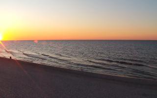 Grzybowo zachód - 21-03-2026 17:33