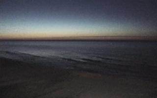 Grzybowo zachód - 21-03-2026 18:56