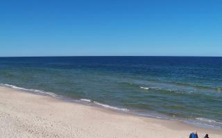 Grzybowo zachód - 28-04-2026 10:39