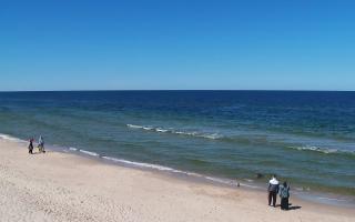 Grzybowo zachód - 28-04-2026 10:46