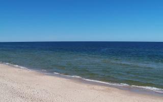 Grzybowo zachód - 28-04-2026 10:54