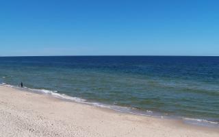 Grzybowo zachód - 28-04-2026 11:17