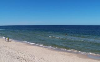 Grzybowo zachód - 28-04-2026 11:24