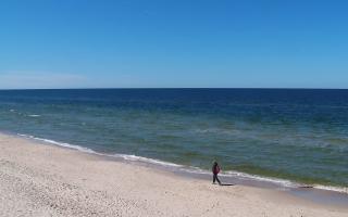 Grzybowo zachód - 28-04-2026 12:10