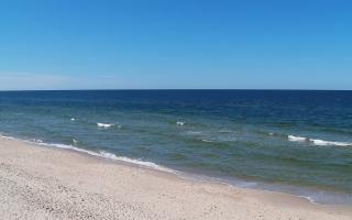 Grzybowo zachód - 28-04-2026 12:17