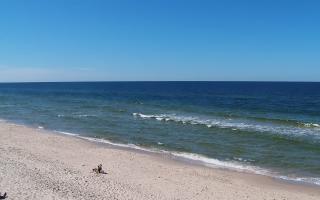 Grzybowo zachód - 28-04-2026 12:32