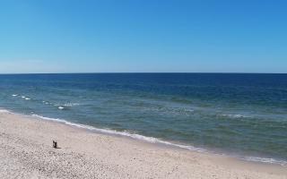 Grzybowo zachód - 28-04-2026 12:55