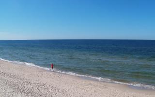 Grzybowo zachód - 28-04-2026 13:10