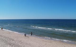 Grzybowo zachód - 28-04-2026 13:33